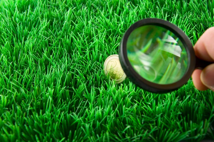 D Fotolia_21095699_M_&copy; VRD - Fotolia.jpg